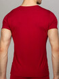 Мужская футболка бордовая круглый вырез